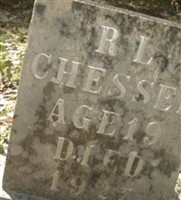 R L Chesser R L Chesser