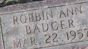 Robbin Ann Badger