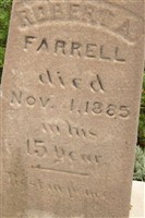Robert A Farrell Robert A Farrell