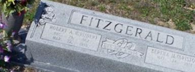 Robert A Fitzgerald Robert A Fitzgerald