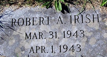 Robert A Irish