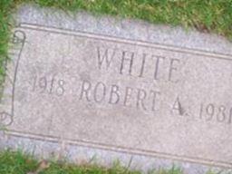 Robert A White