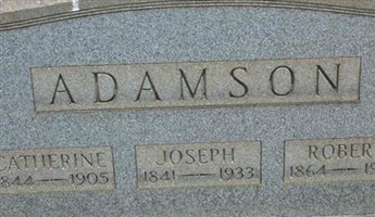 Robert Adamson