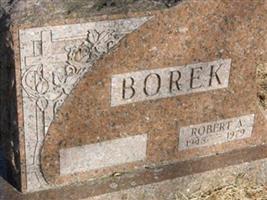Robert Allen Borek