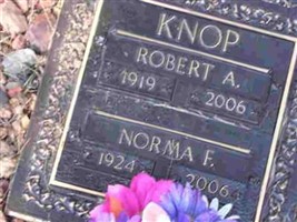 Robert Arthur Knop
