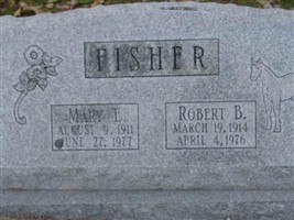 Robert B FISHER