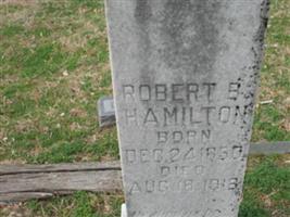 Robert B Hamilton