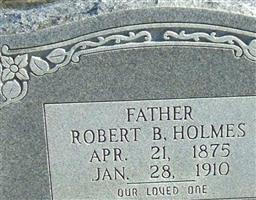 Robert B Holmes