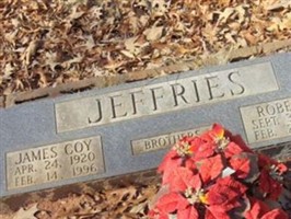 Robert B Jeffries