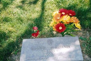 Robert Bland Adams Robert Bland Adams