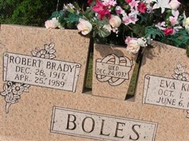Robert Brady Boles