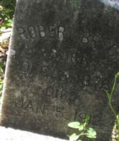 Robert Bryce