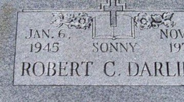 Robert C Darling