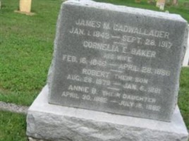 Robert Cadwallader Robert Cadwallader