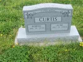 Robert Curtis (1925247.jpg) Robert Curtis (1925247.jpg)