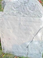 Robert Cutt Whipple