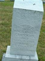 Robert D Carpenter