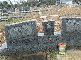 Robert D Purvis