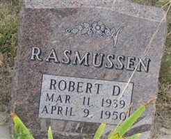 Robert D Rasmussen Robert D Rasmussen