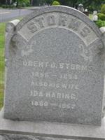 Robert D Storms
