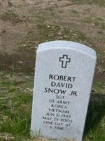 Robert David Snow, Jr Robert David Snow, Jr