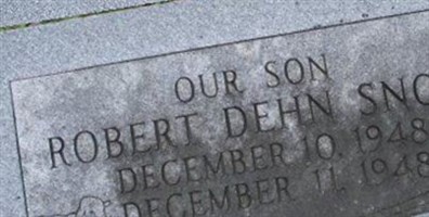 Robert Dehn Snow Robert Dehn Snow