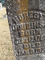 Robert Dobbins
