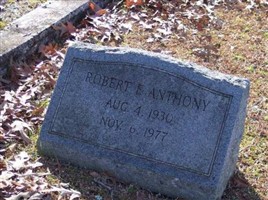 Robert E Anthony Robert E Anthony