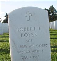 Robert E Boyer