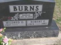 Robert E. Burns