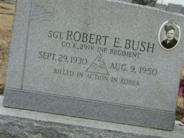 Robert E Bush