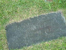 Robert Earle Haynie