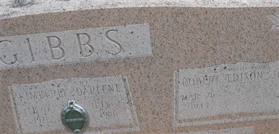 Robert Edison Gibbs, Jr Robert Edison Gibbs, Jr