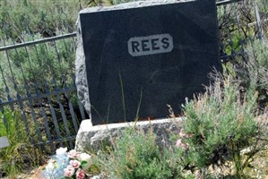Robert G. Rees Robert G. Rees