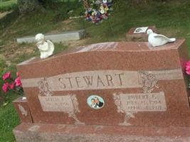 Robert G Stewart