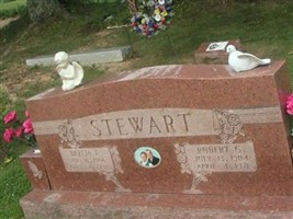 Robert G Stewart Robert G Stewart