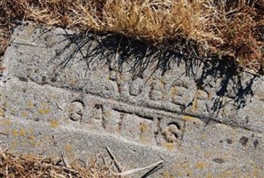 Robert Gattis