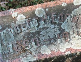Robert H Forbes Robert H Forbes