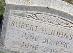 Robert H Johnson Robert H Johnson
