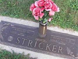 Robert H Stricker Robert H Stricker