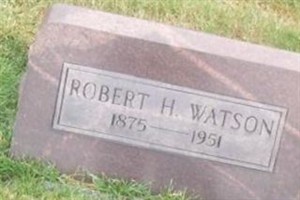 Robert H Watson