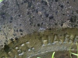 Robert Harbert
