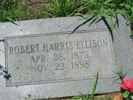 Robert Harris Ellison