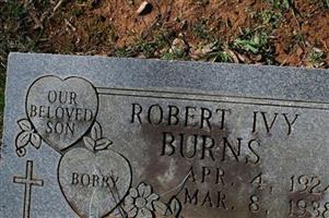 Robert Ivy Burns