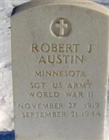 Robert J Austin