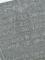 Robert J Cummins