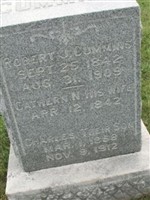 Robert J Cummins
