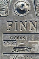 Robert J Finn