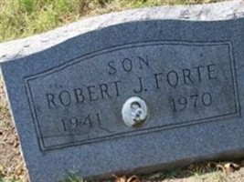 Robert J. Forte Robert J. Forte