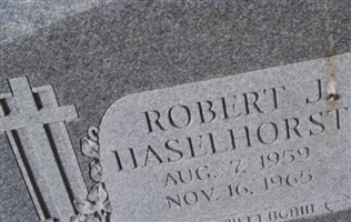 Robert J Haselhorst